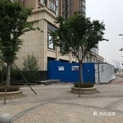 洛阳伊水苑新动态，城市绿肺再启新篇章